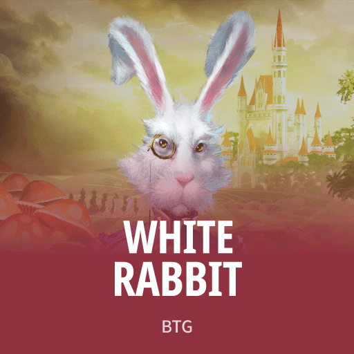 White Rabbit