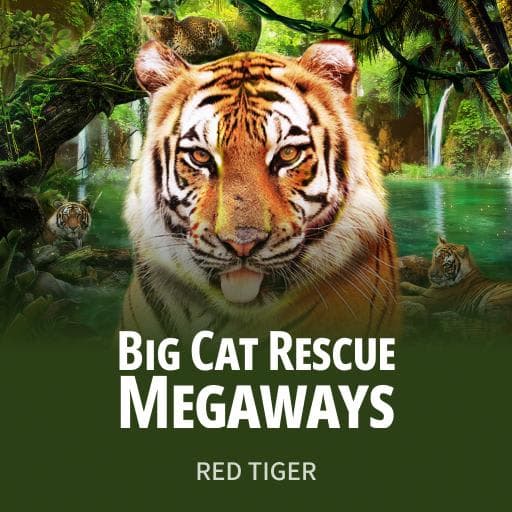 Big Cat Rescue Megaways