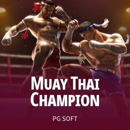 Muay Thai Champion