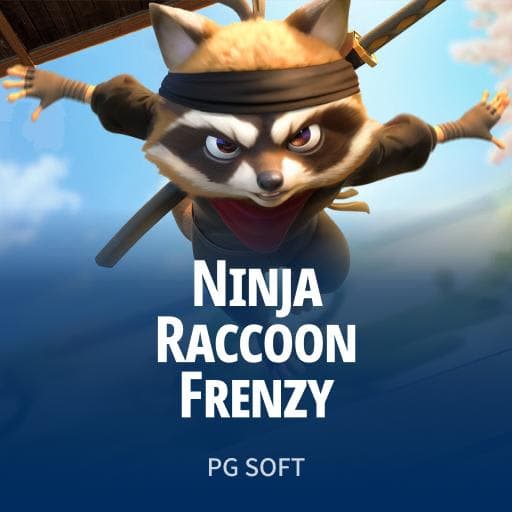 Ninja Raccoon Frenzy