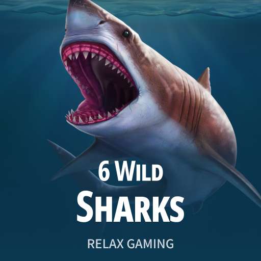 6 WILD SHARKS
