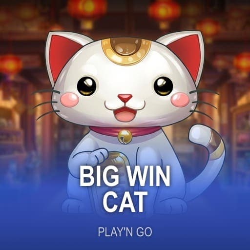 Big Win Cat