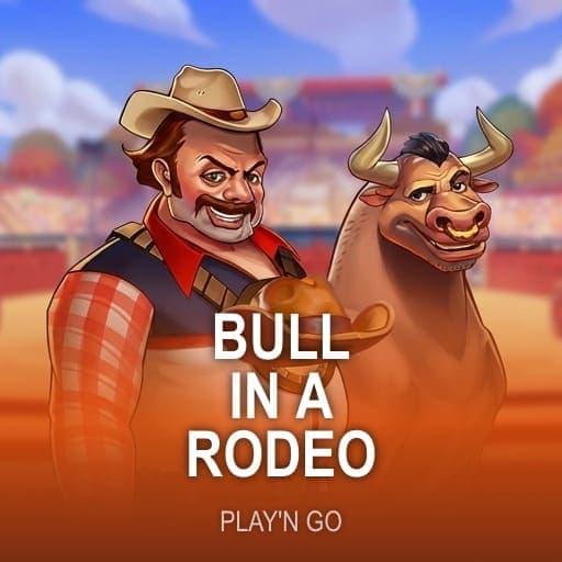 Bull in a Rodeo