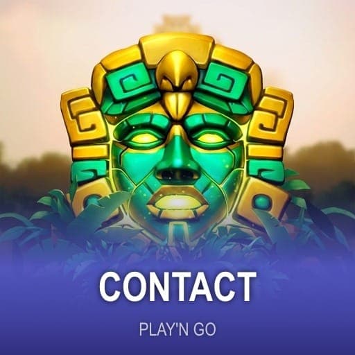 Contact