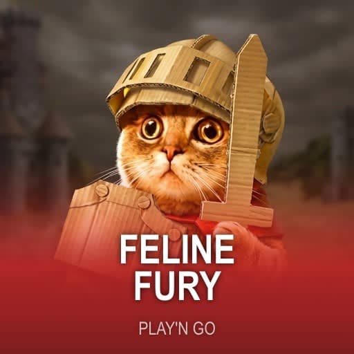 Feline Fury